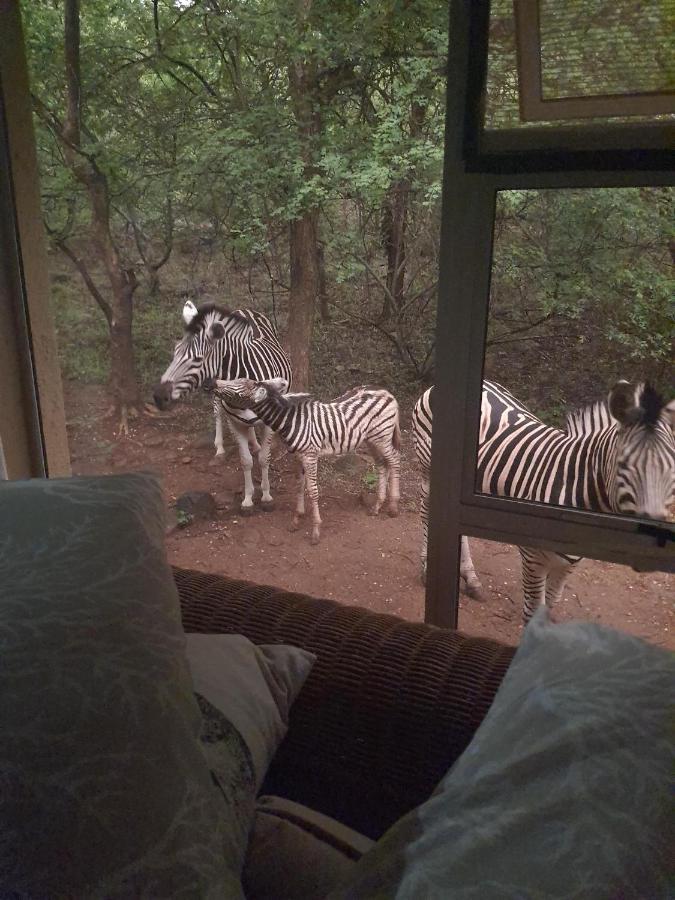 Canyon Guest Villa Hoedspruit Esterno foto
