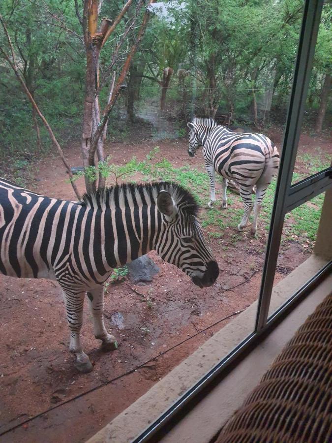 Canyon Guest Villa Hoedspruit Esterno foto